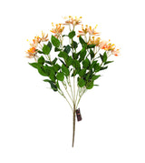 lilly flower  bunch orange china "20"