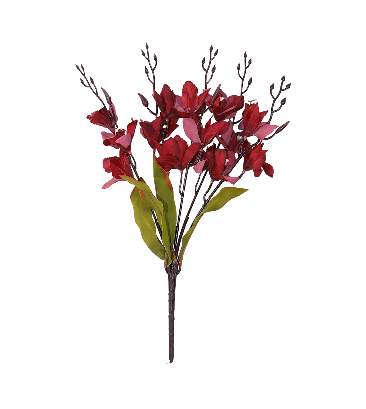 2tone flower bunch maroon cymbidium china 17.5"