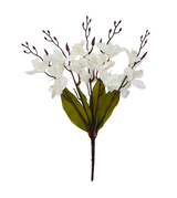 2tone flower bunch white cymbidium china 17.5"