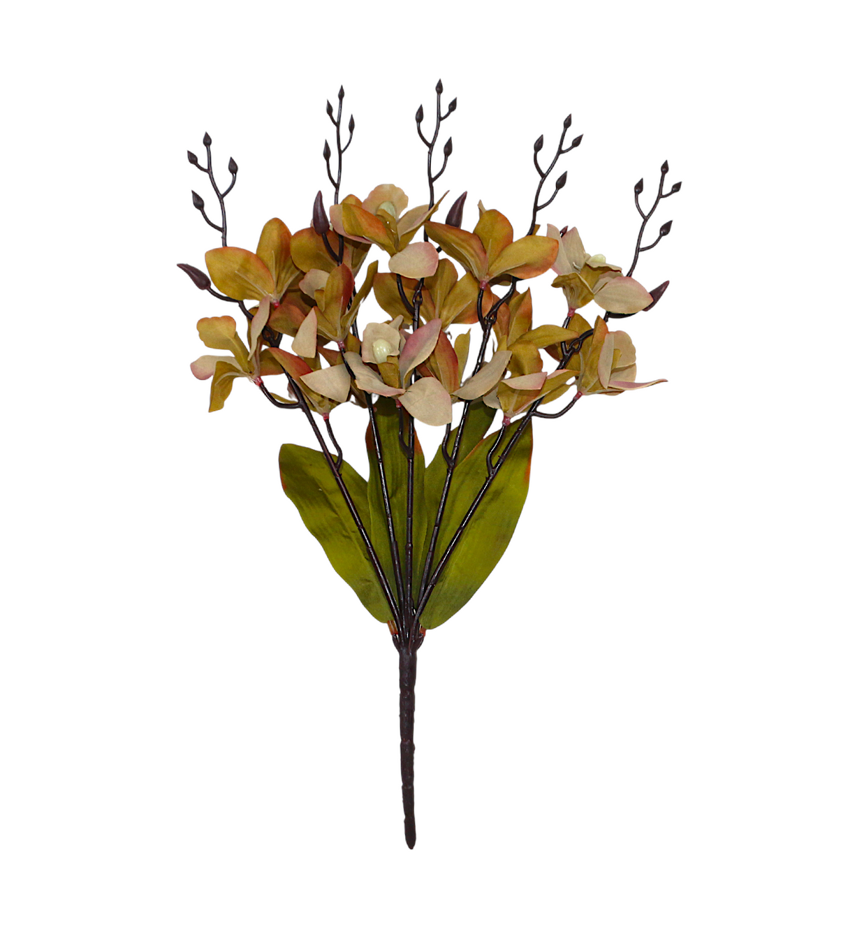 2tone flower bunch cymbidium china 17.5"