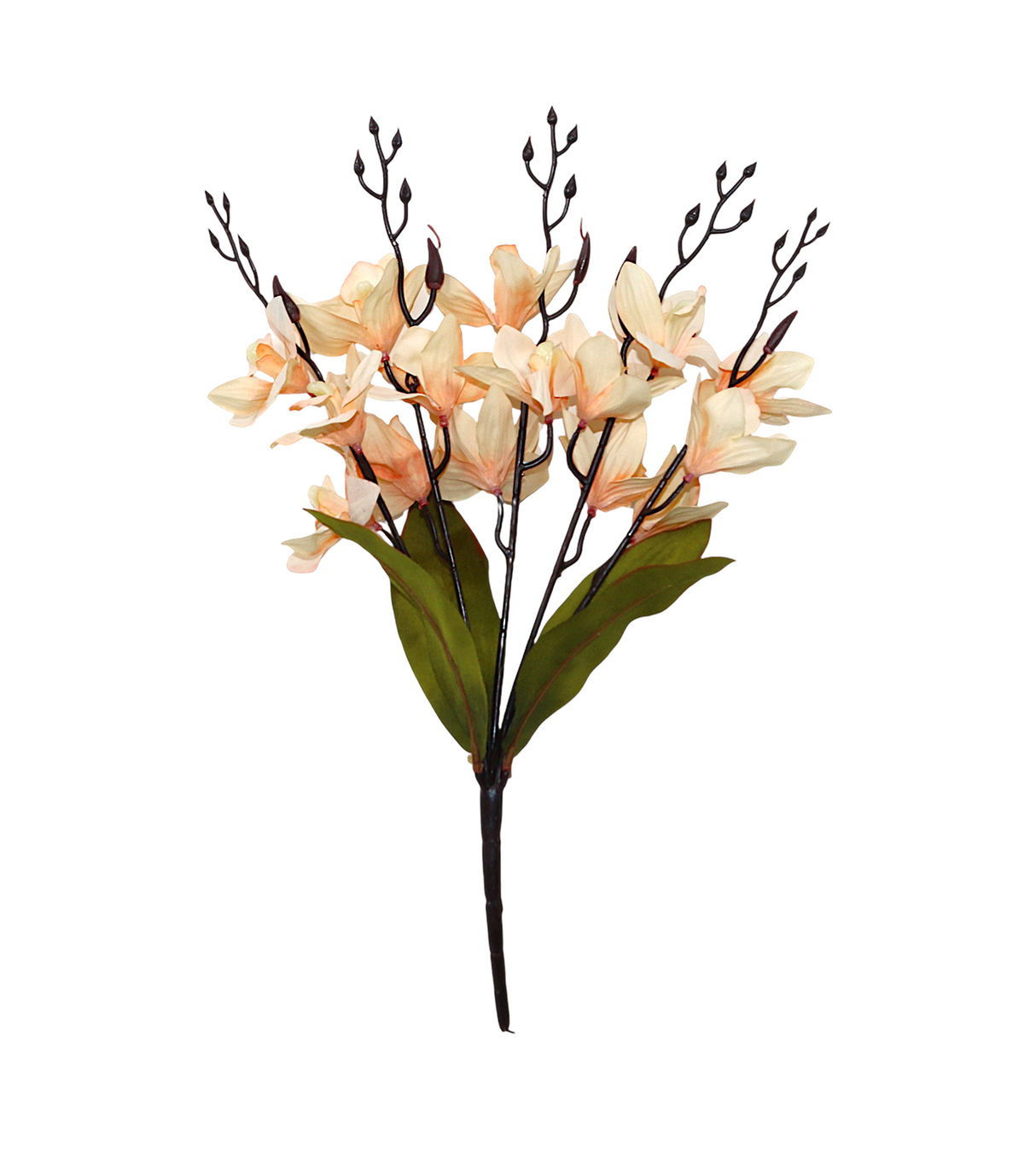 2tone flower bunch cymbidium china 17.5"
