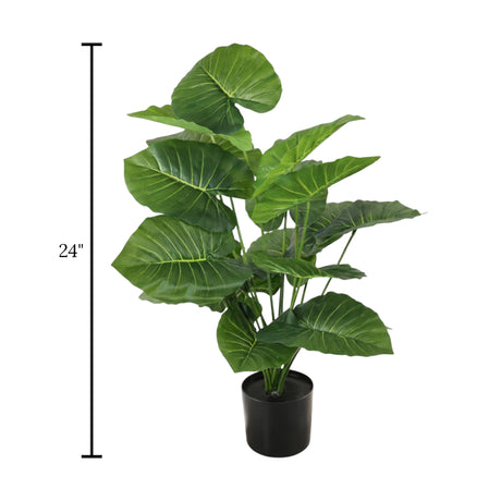alocasia plant with plastic pot 18 leaves china 24"