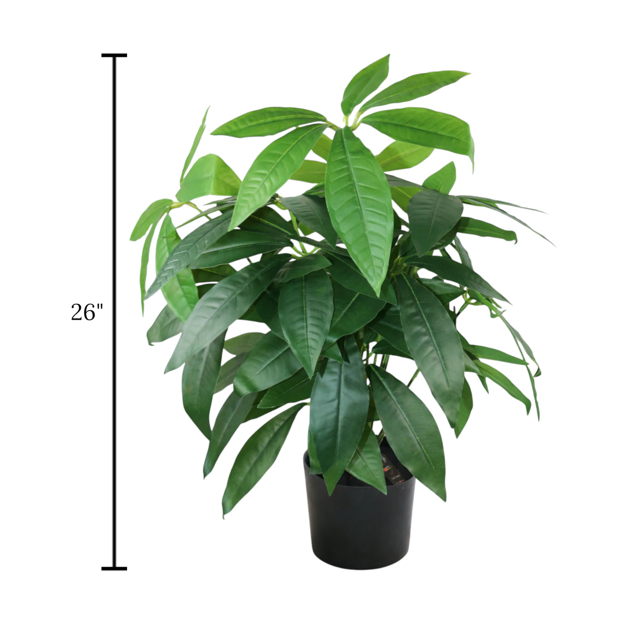 pachira plant with plastic pot 18 leaves china 26"