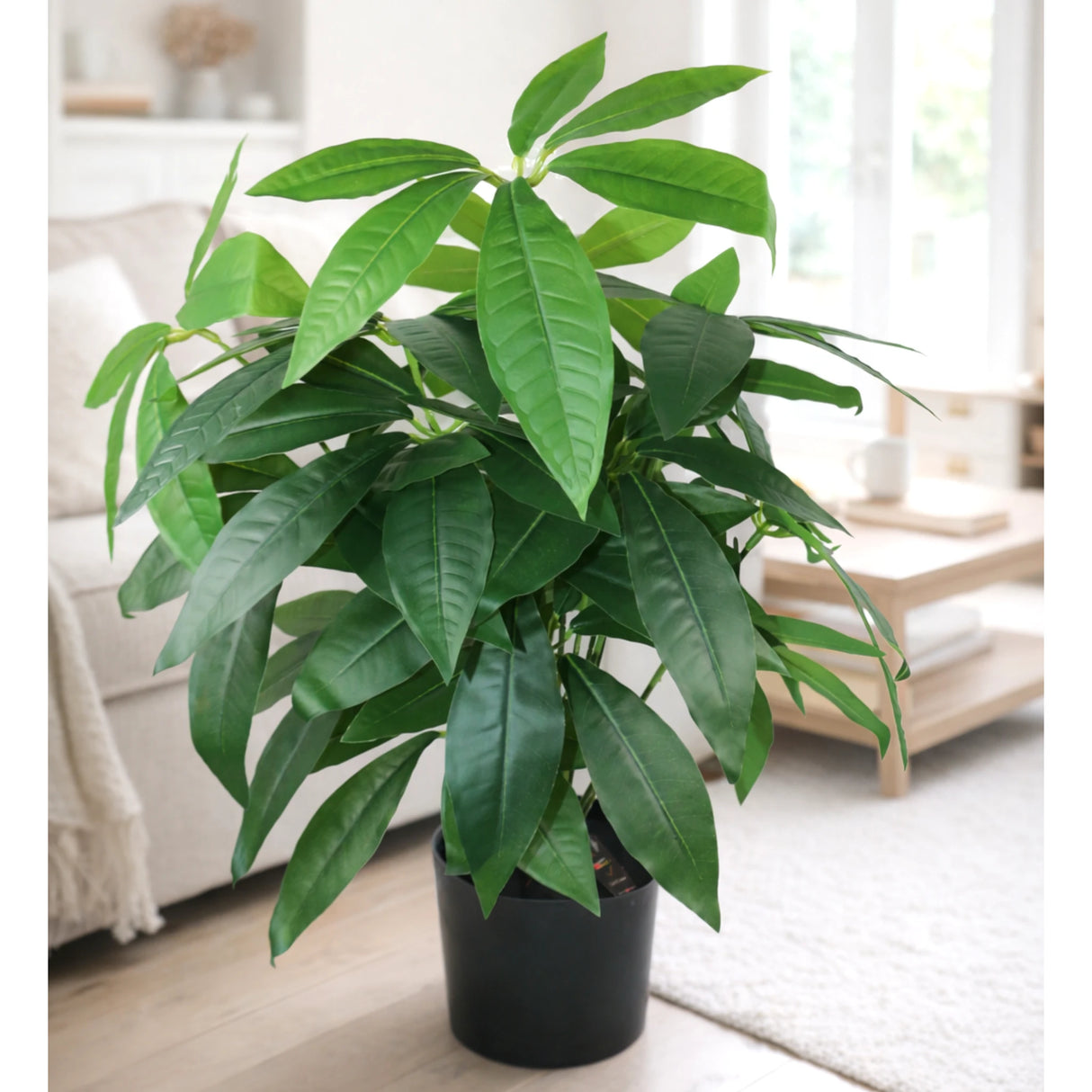 pachira plant with plastic pot 18 leaves china 26"