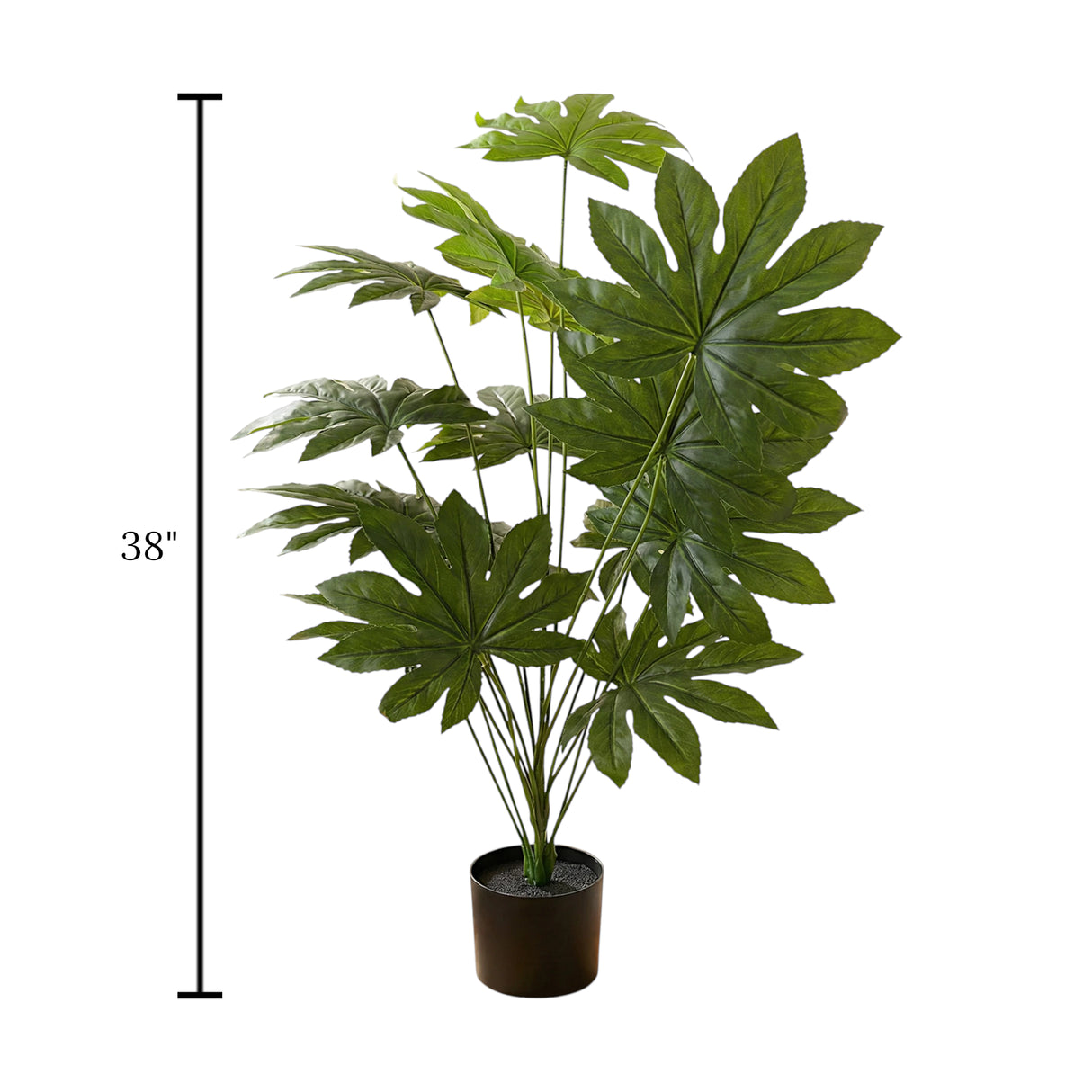 paper plant with plastic pot 18 large leaves china 38"