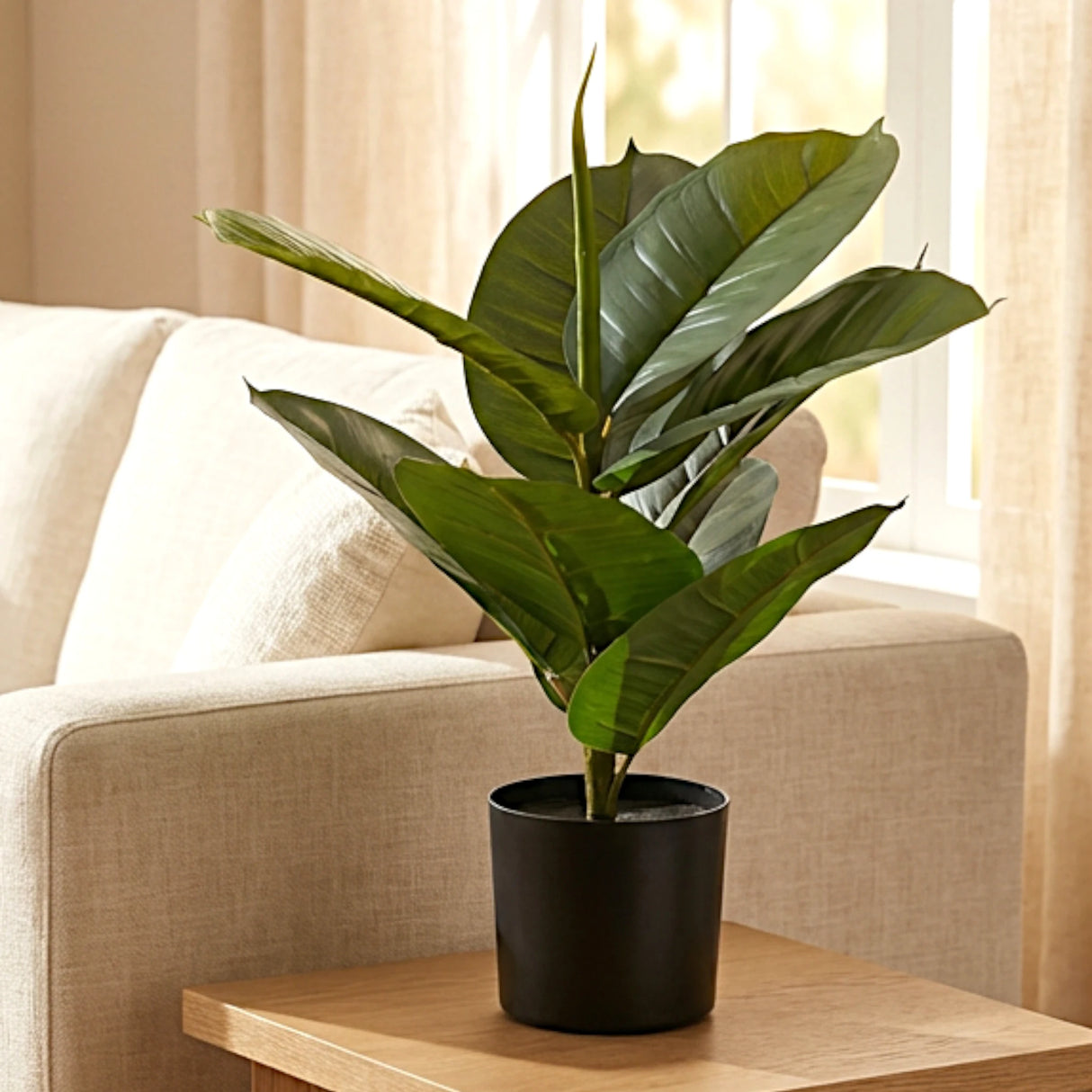 rubber plant with plastic pot 9 leaves china 21"