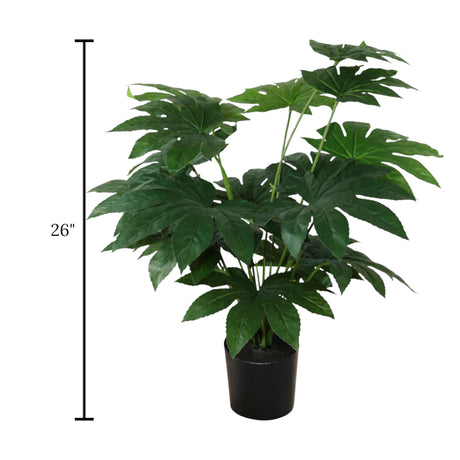 paper plant with plastic pot 18 small leaves china 26"