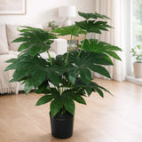 paper plant with plastic pot 18 small leaves china 26"