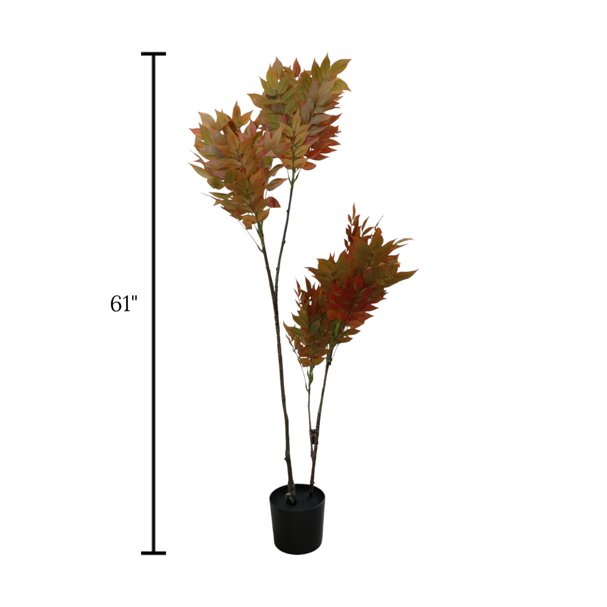 autumn sumac tree with plastic pot china 61"