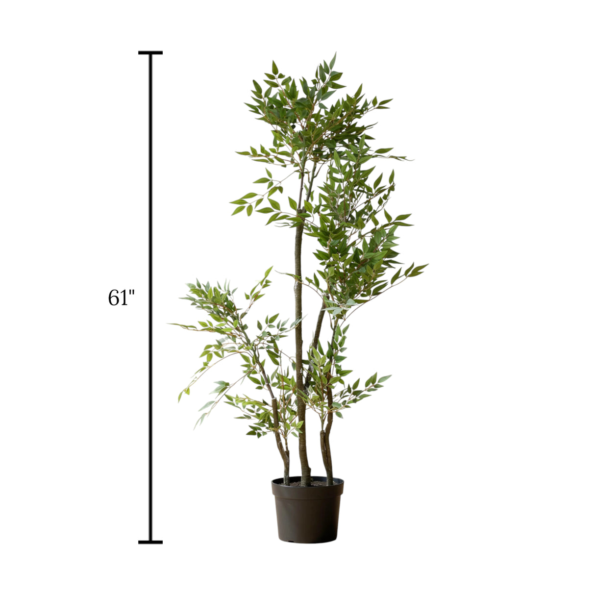 ficus tree with plastic pot china 61"