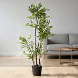 ficus tree with plastic pot china 61"