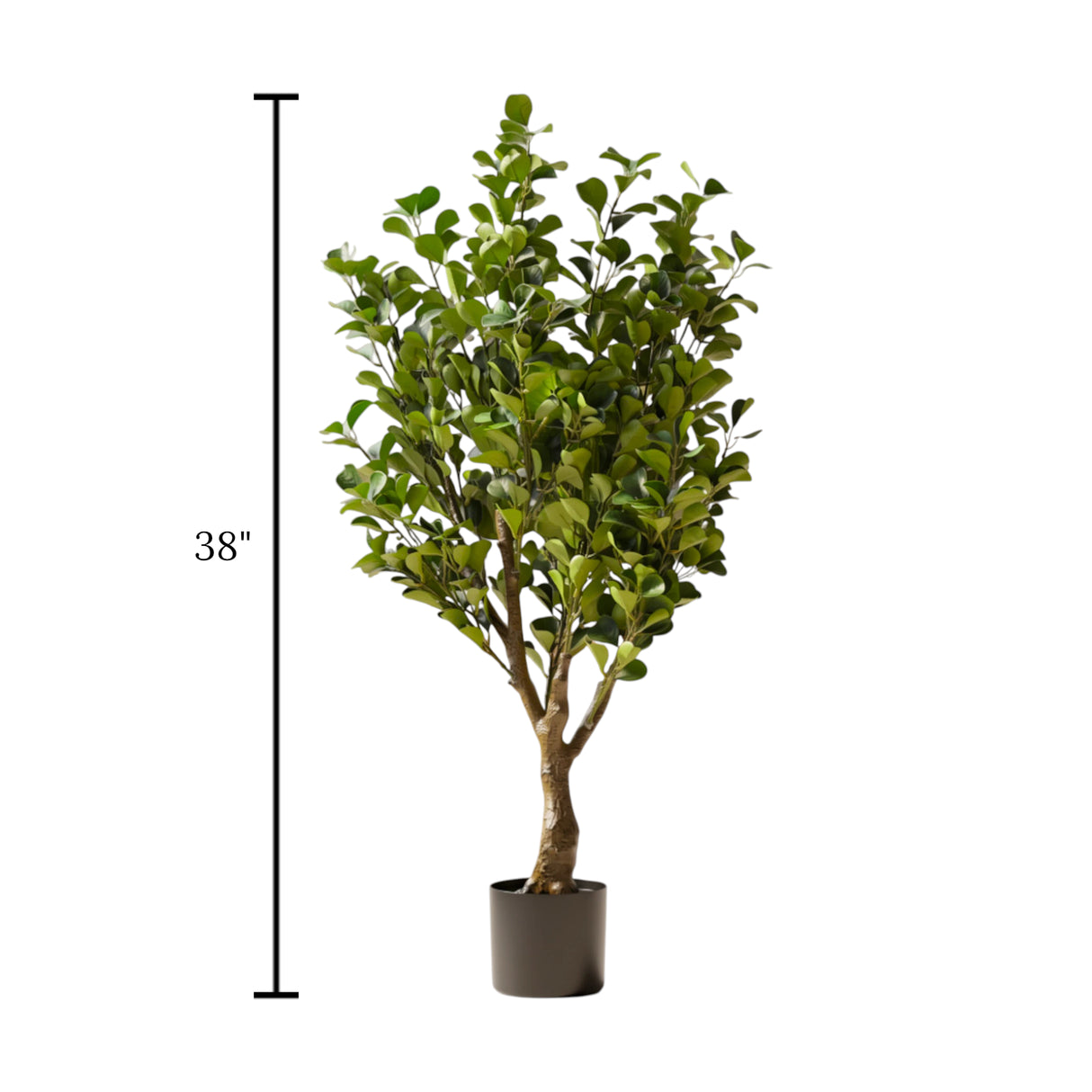 ficus plant with plastic pot china 38"