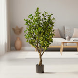 ficus plant with plastic pot china 38"