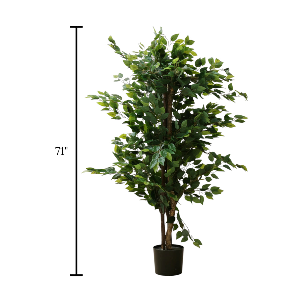 ficus tree with plastic pot china 71"