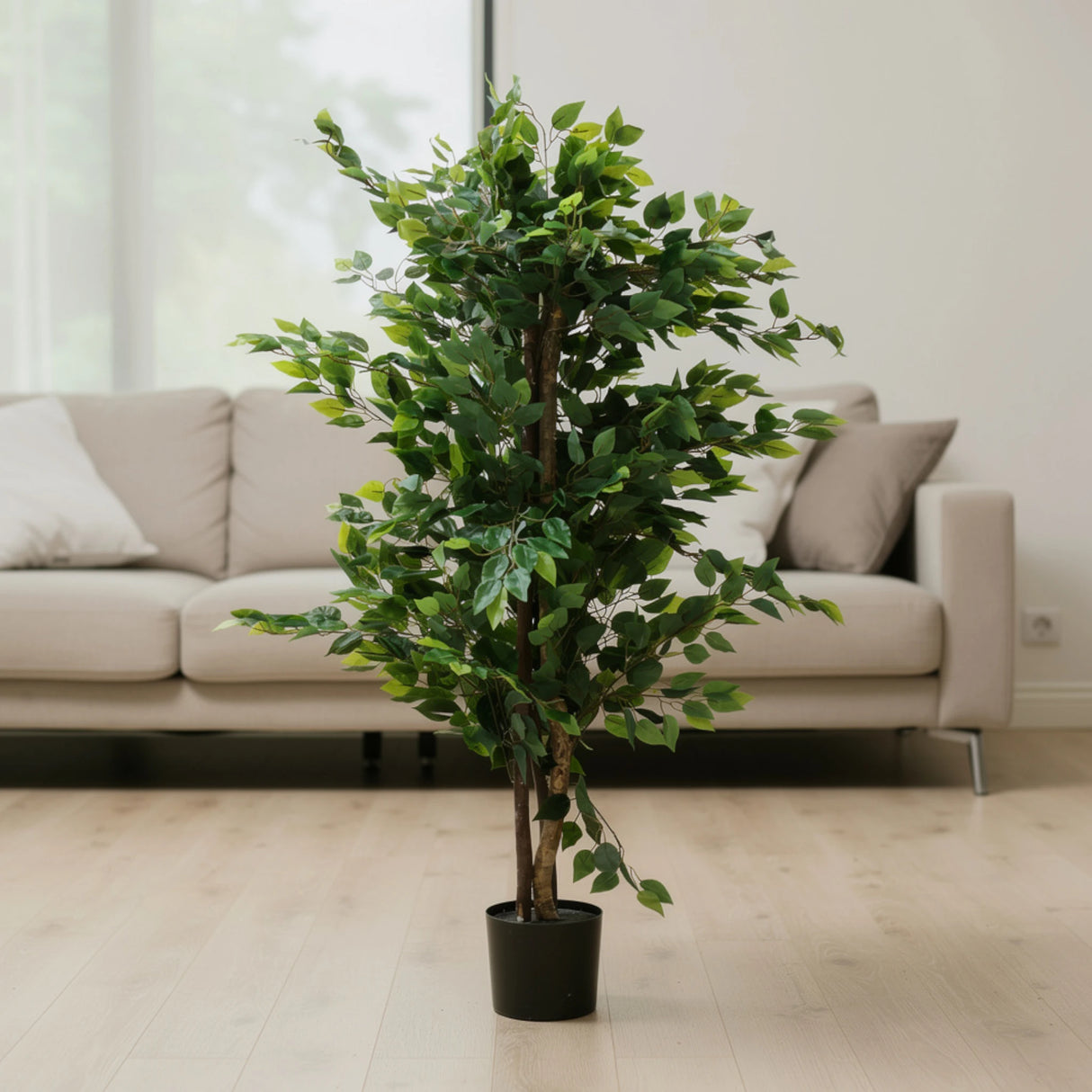 ficus tree with plastic pot china 71"