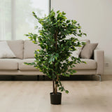 ficus tree with plastic pot china 71"