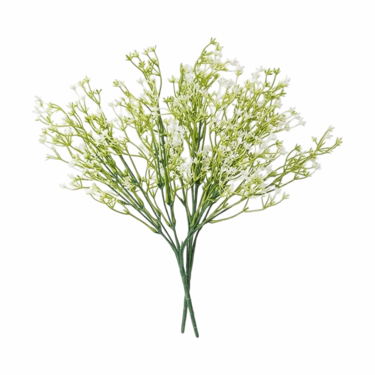 flower bunch baby's breath white