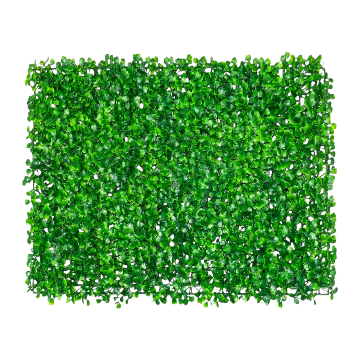 deewari mat foliage green 24"x16" china