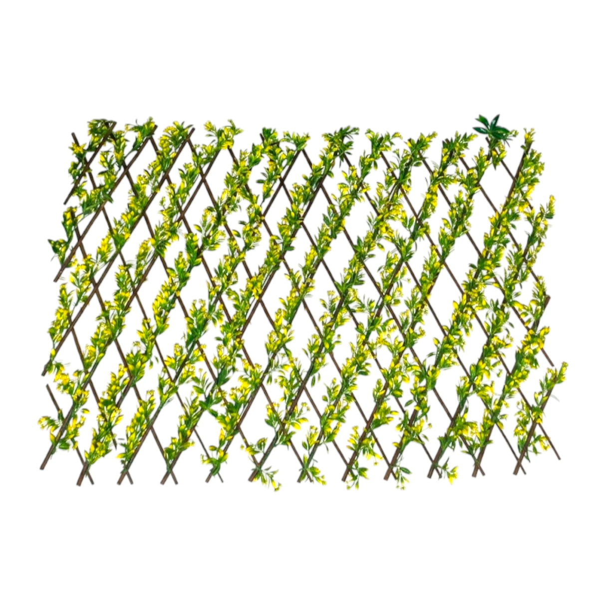 deewari mat camellia yellow & green 72"x40" china