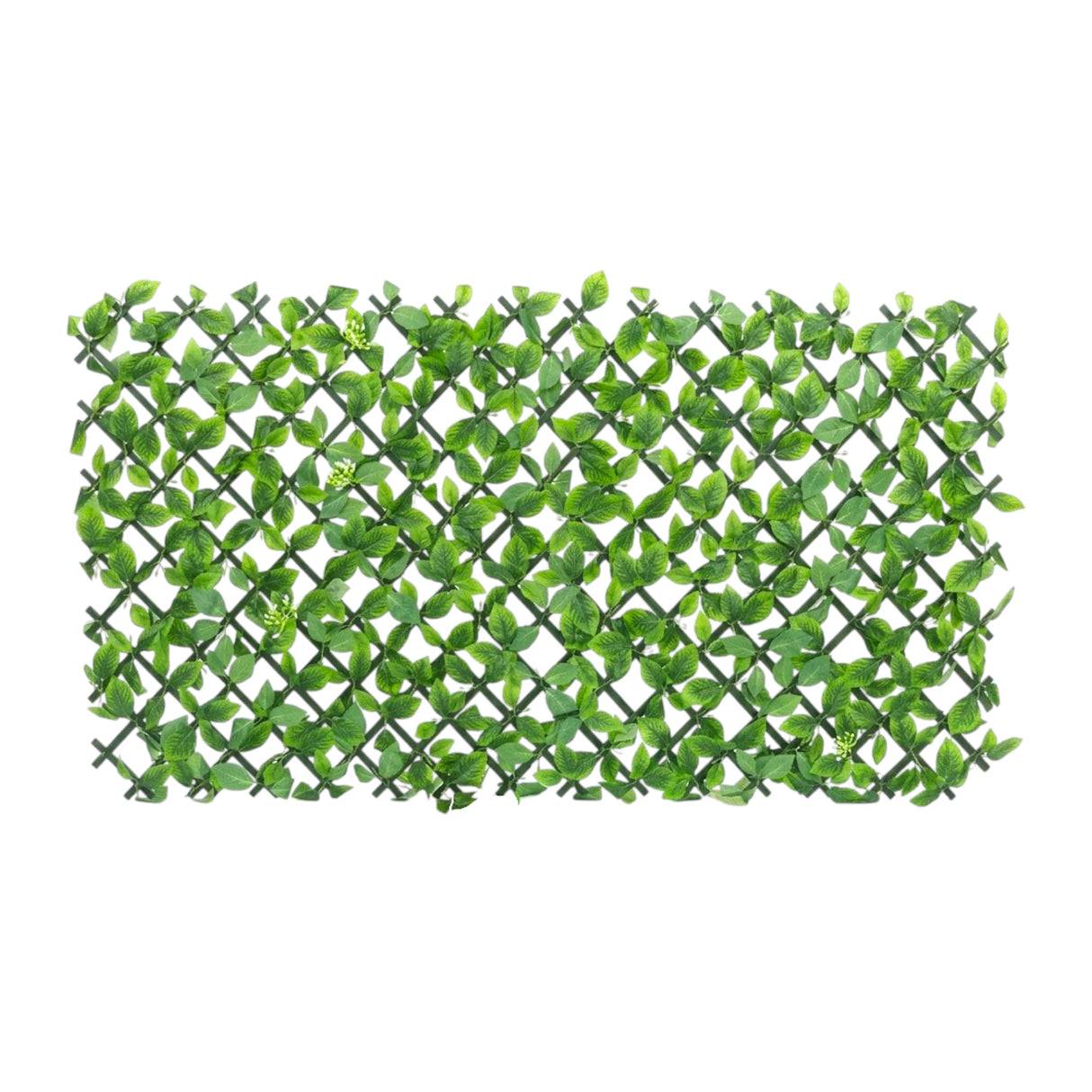 deewari mat hydrangea green 54"x40" china