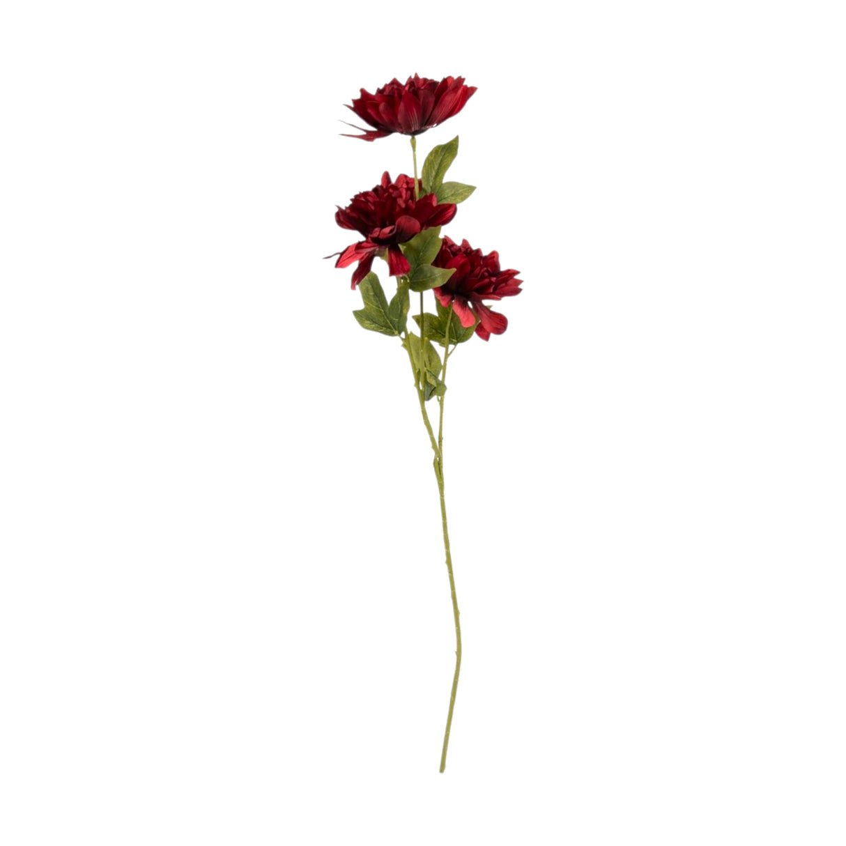 flower branch peony maroon 43'' china