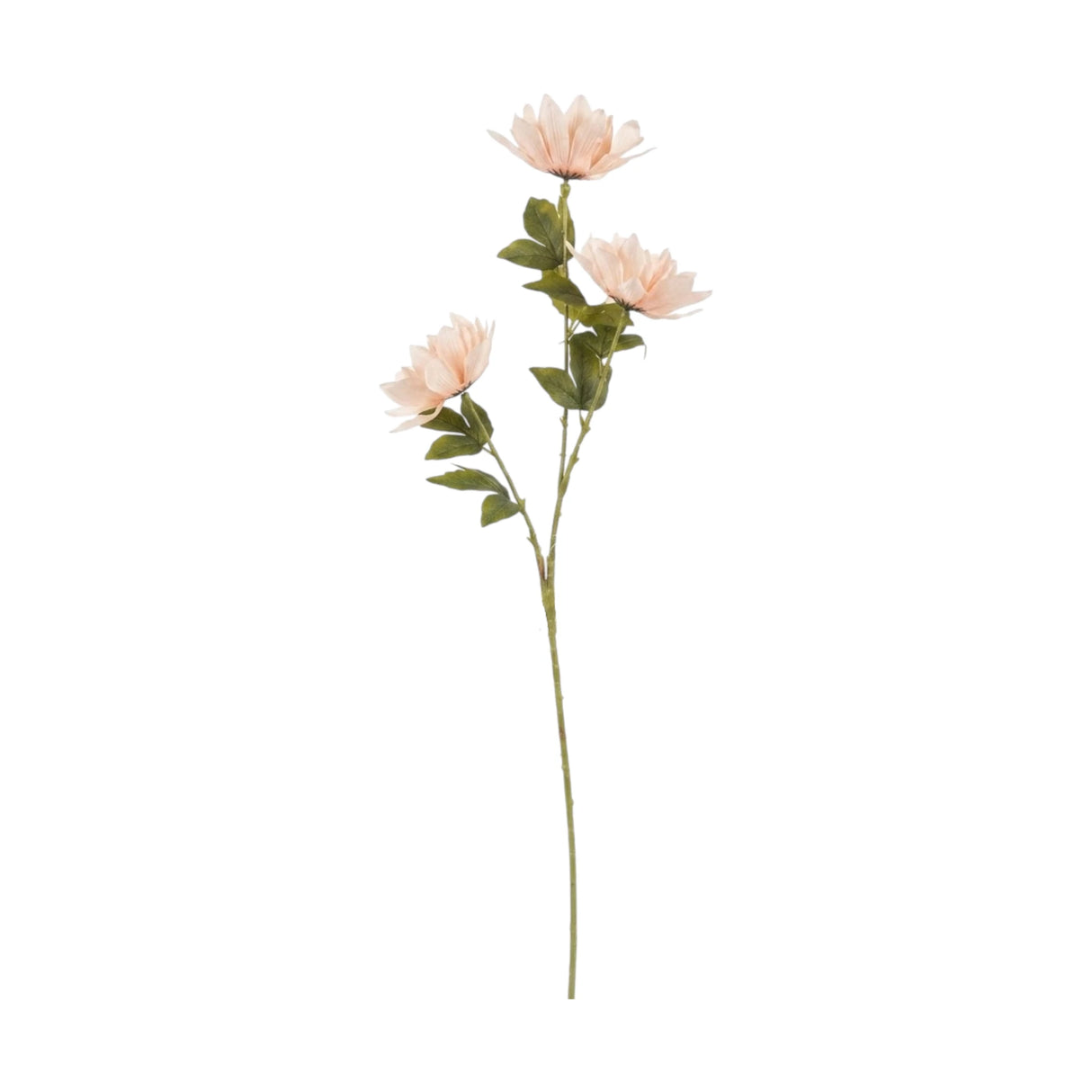 flower branch peony light peach 43'' china