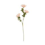 flower branch peony light peach 43'' china