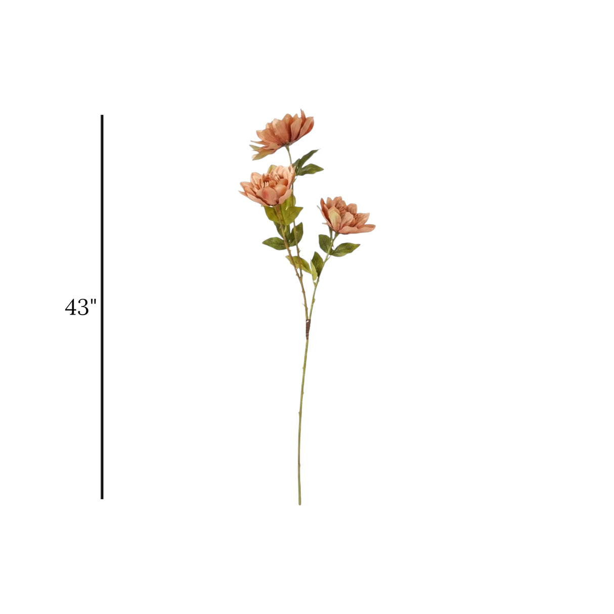 flower branch peony light brown 43'' china