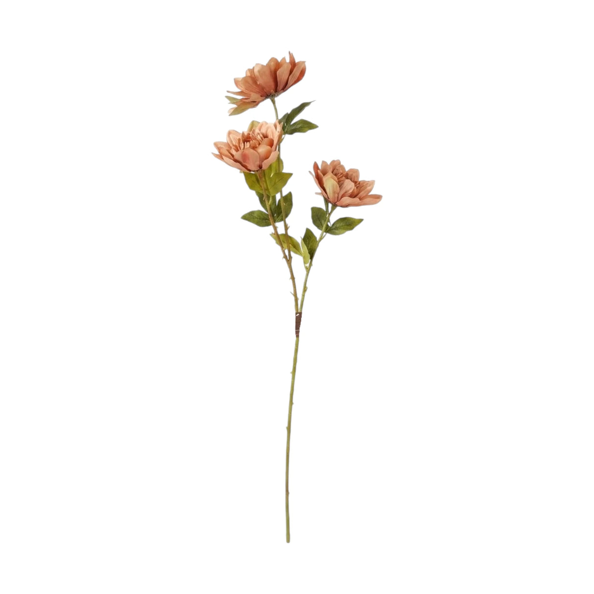 flower branch peony light brown 43'' china