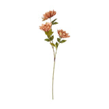 flower branch peony light brown 43'' china