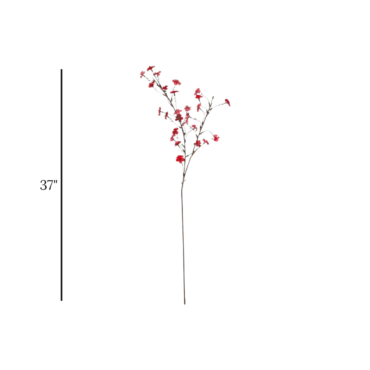 flower branch plum blossom red 37'' china