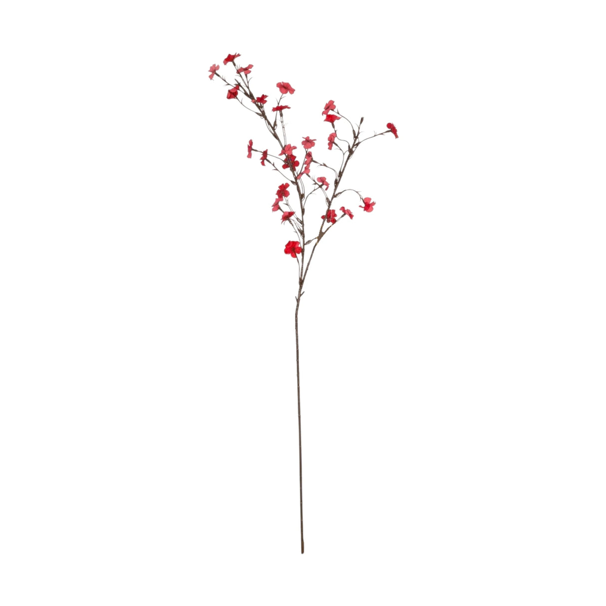 flower branch plum blossom red 37'' china