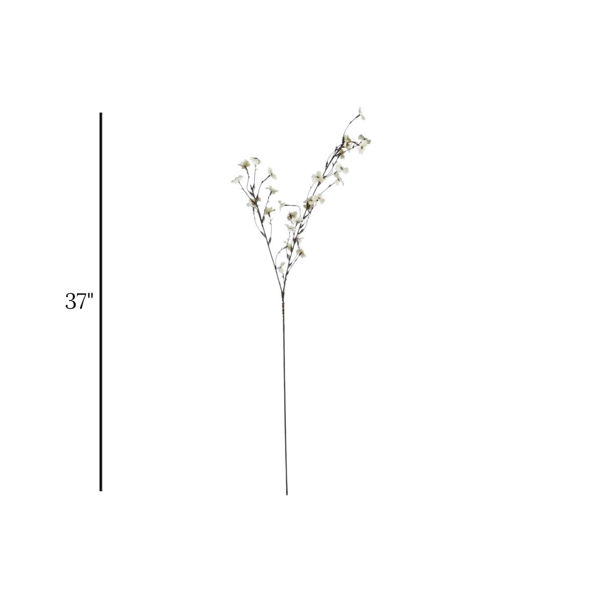 flower branch plum blossom 2tone green 37'' china