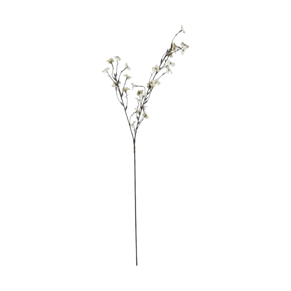 flower branch plum blossom 2tone green 37'' china