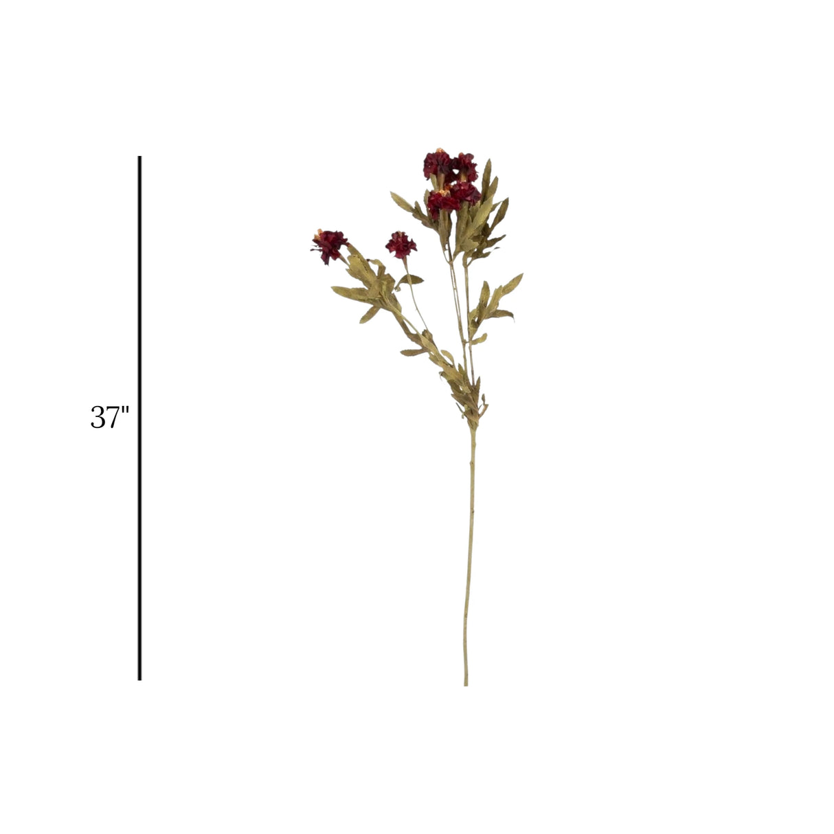 flower branch daisy maroon 24'' china