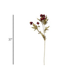 flower branch daisy maroon 24'' china