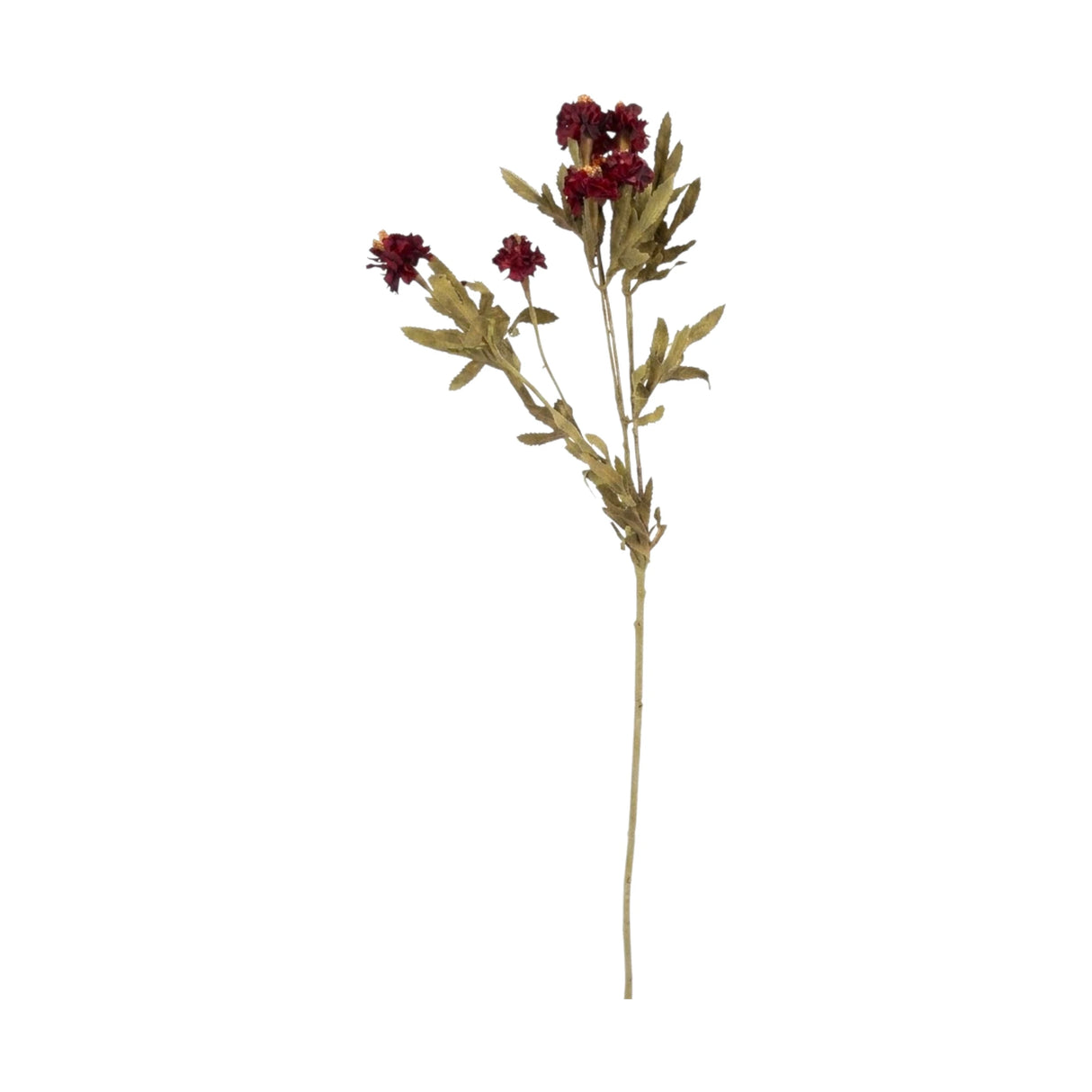 flower branch daisy maroon 24'' china