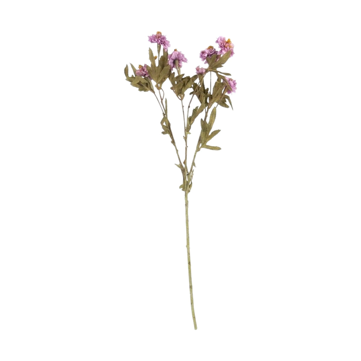 flower branch daisy purple 24" china