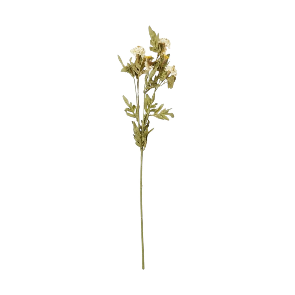 flower branch daisy 2tone white 24'' china