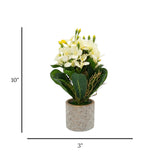 flower pot ceramic white freesia 10x3 china