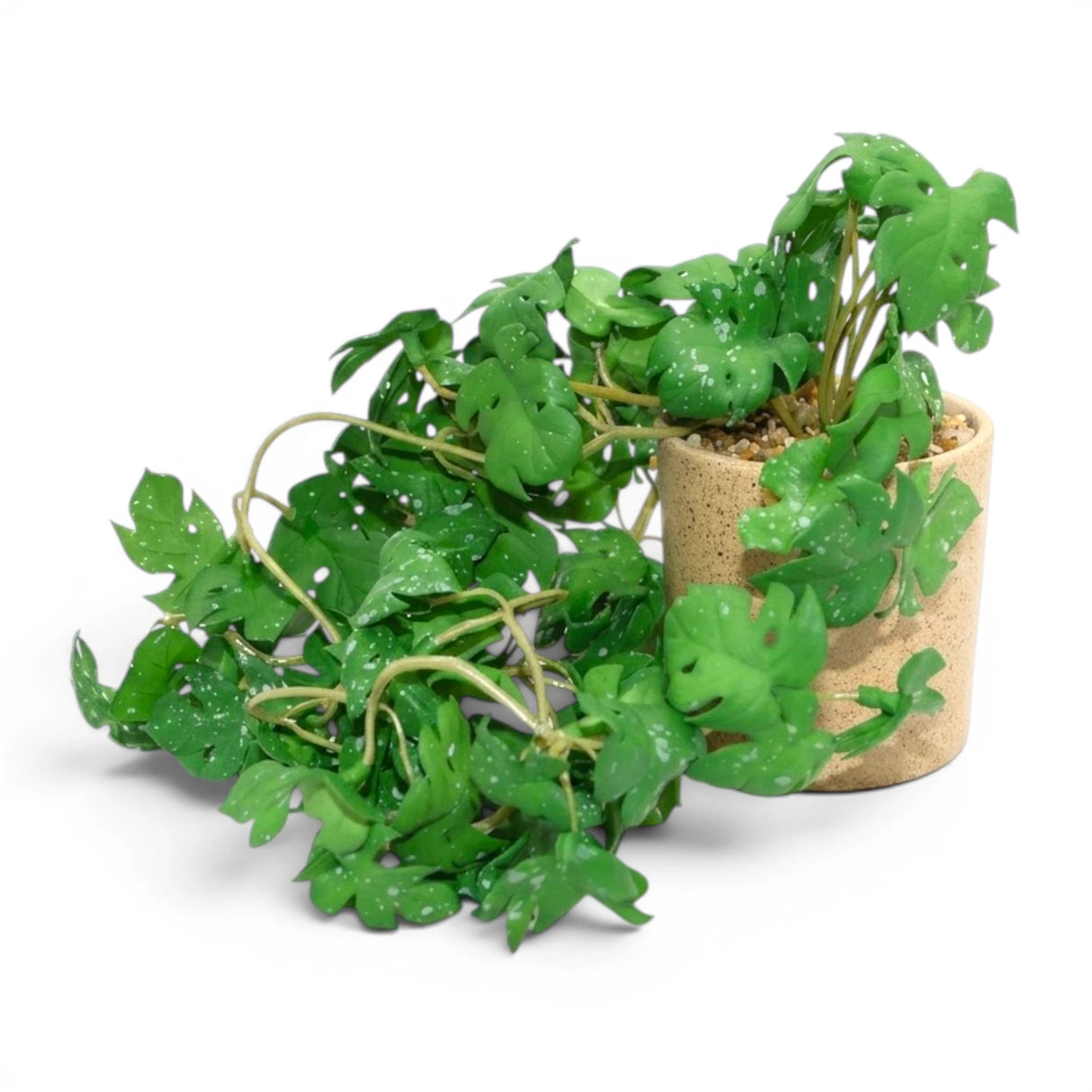 flower pot ceramic green monstera 6x3 china
