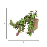 flower pot ceramic 2tone green monstera 6x3 china