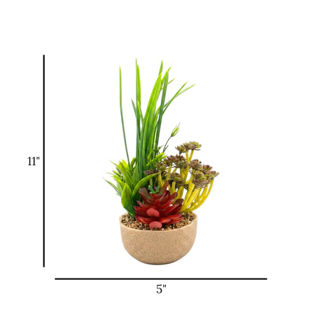 flower pot ceramic multi aloe-vera grass 11x5 china