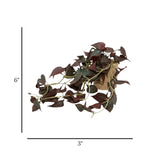 flower pot ceramic brown foliage 6"x3" china