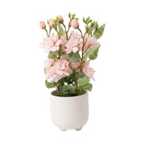 flower pot ceramic light pink camellia 12x4 china
