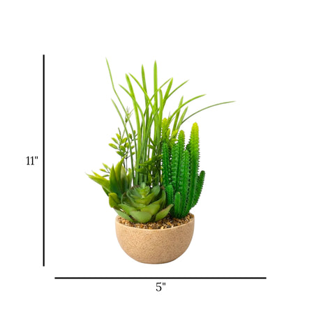 flower pot ceramic cactus & grass 11x5 china
