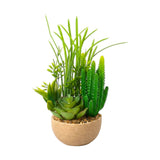 flower pot ceramic cactus & grass 11x5 china