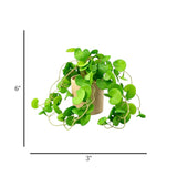 flower pot parrot faux foliage 6x3 china