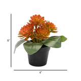flower pot plastic orange wax plant 8x4 china