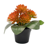 flower pot plastic orange wax plant 8x4 china